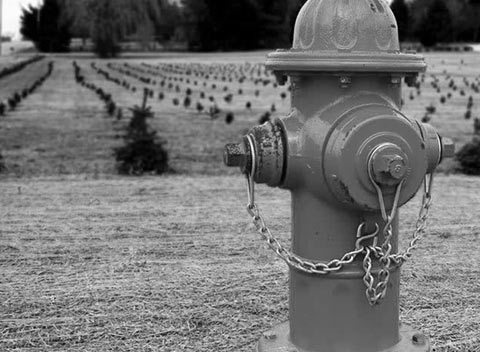 DDOS在线压力测试